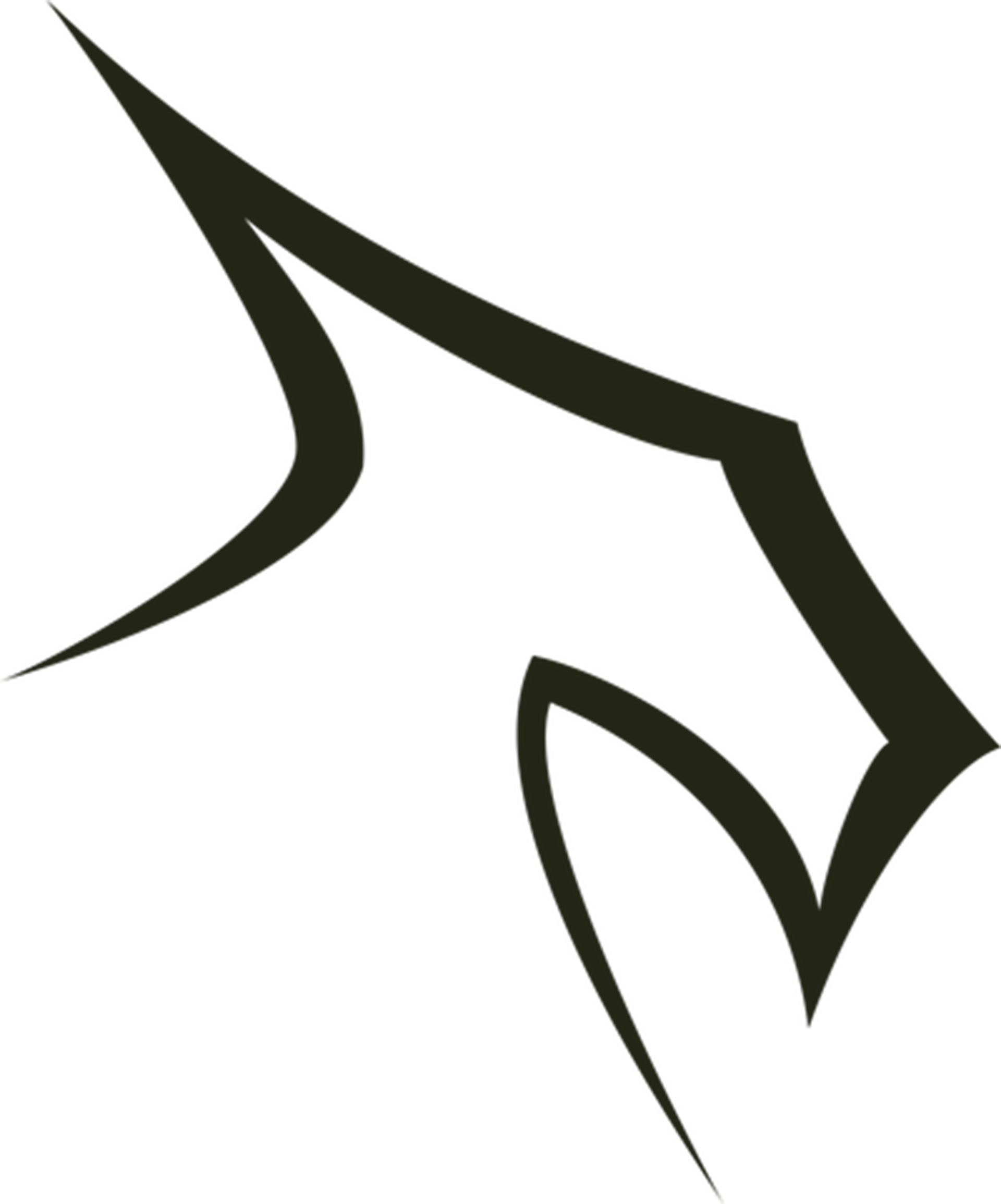 Evolve Whey parteners of sst